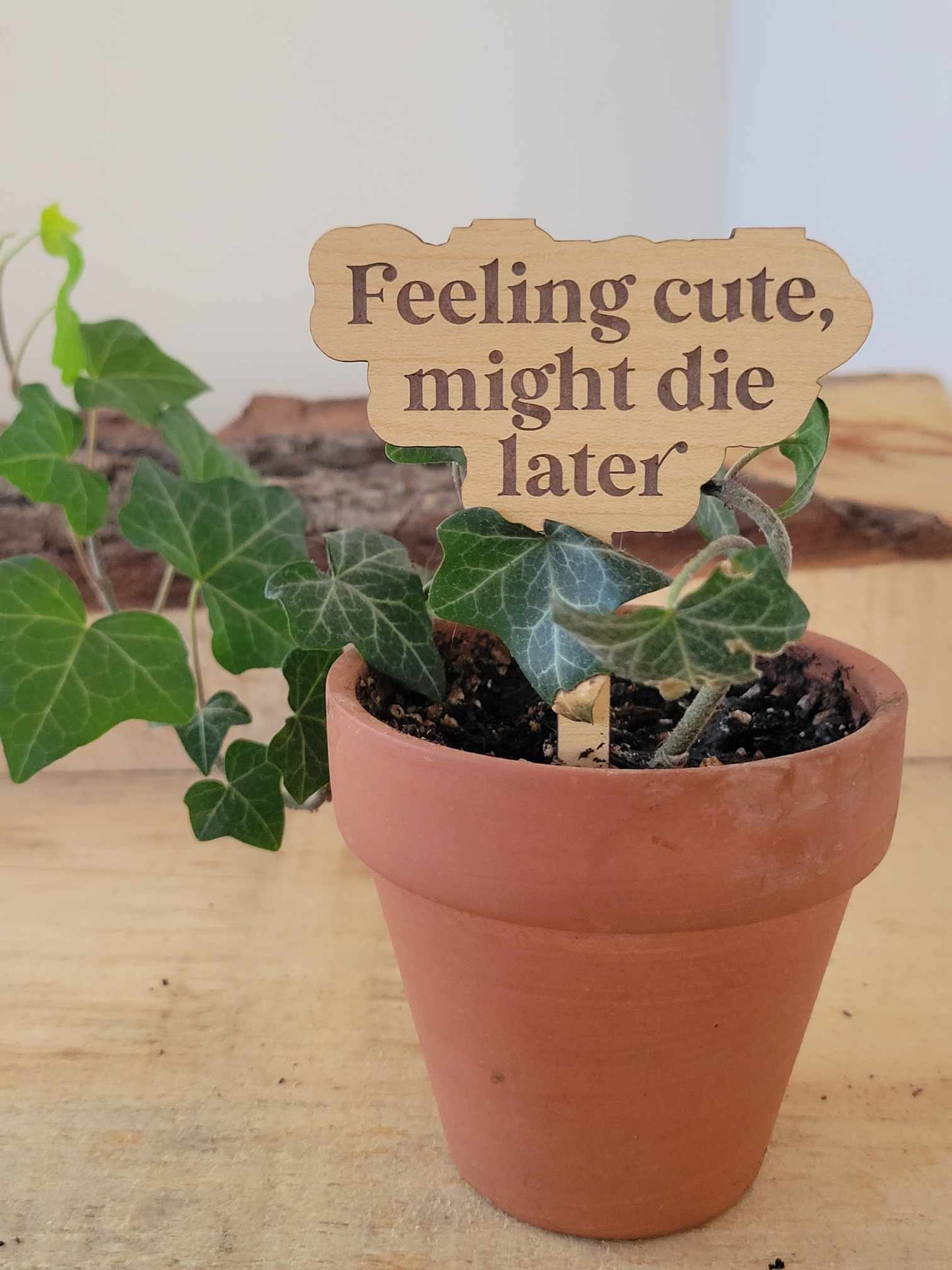 Funny Plant Markers