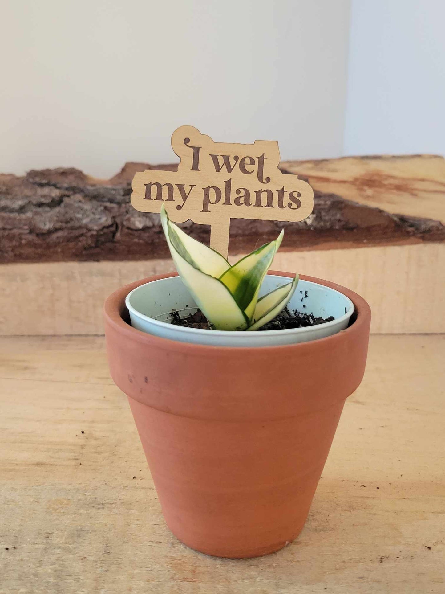 Funny Plant Markers